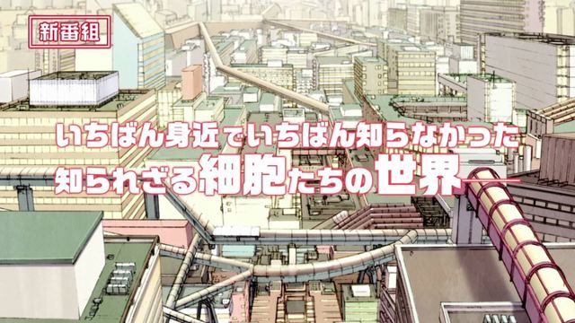 Cover preview for 【CXRAW】【はたらく細胞】【BDrip】【1080P】【HEVC Main10P FLAC MKV】