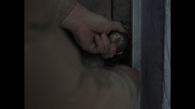 Cover preview for Evil.Dead.1981.PROPER.2160p.BluRay.REMUX.HEVC.DTS-HD.MA.TrueHD.5.1-FGT